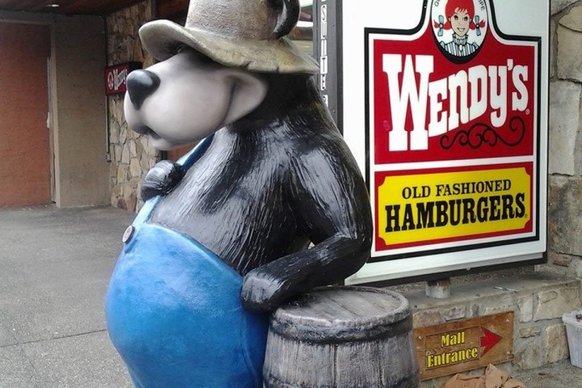 Bear-in-Gat